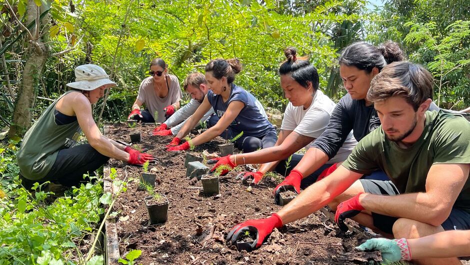 People work outside in a garden bed.