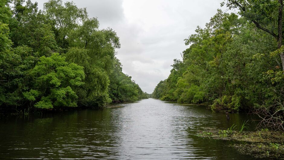 A bayou in Louisiana