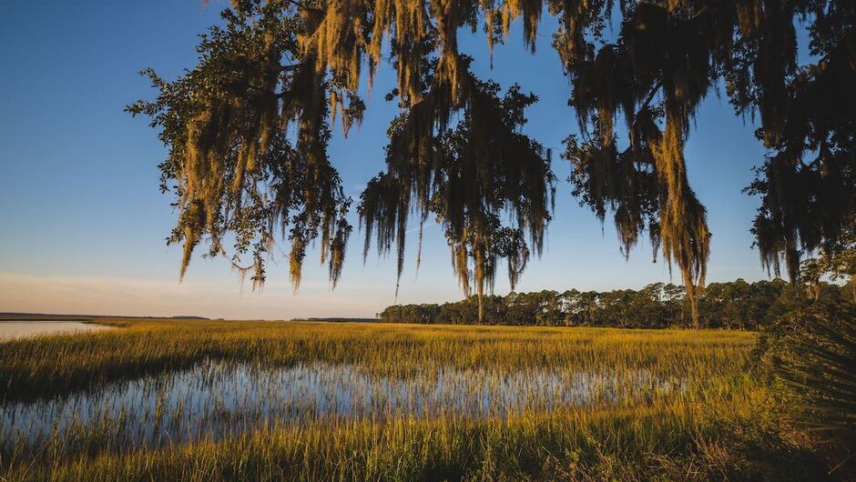Foreground: Branches of a live oak tree with Spanish Moss. Background: The sun sets over a marsh.