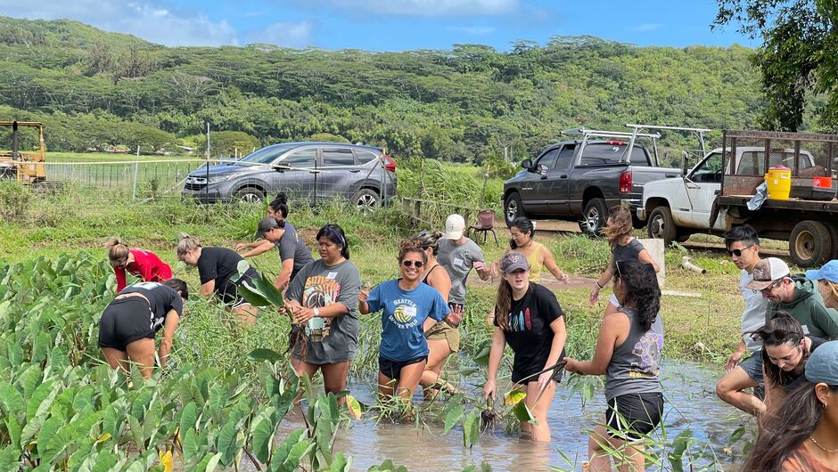 People working outdoors