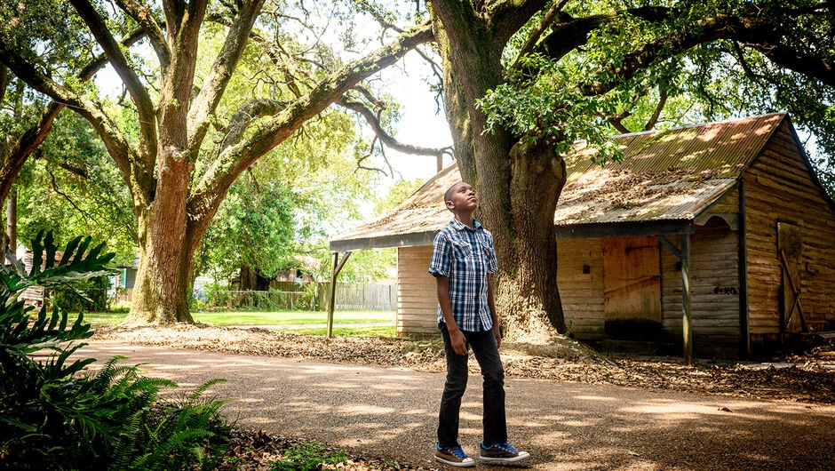 A boy walks down a road shadowed by large, old oak trees.